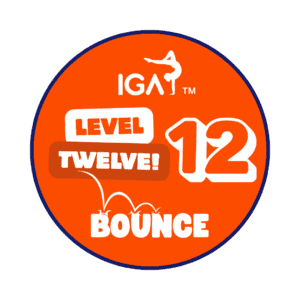 Bounce Badges - Level 12 [Pack of 10]