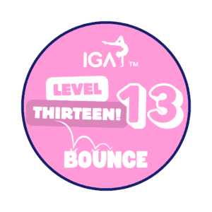 Bounce Badges - Level 13 [Pack of 10]