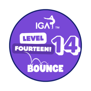 Bounce Badges - Level 14 [Pack of 10]