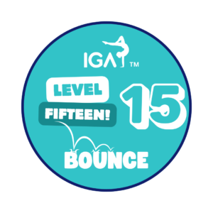 Bounce Badges - Level 15 [Pack of 10]