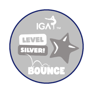 Bounce Badges - Level Silver [Pack of 10]