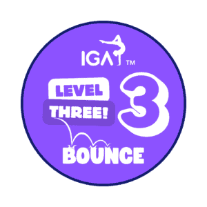 Bounce Badges - Level 3 [Pack of 10]