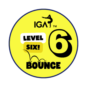 Bounce Badges - Level 6 [Pack of 10]