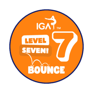Bounce Badges - Level 7 [Pack of 10]